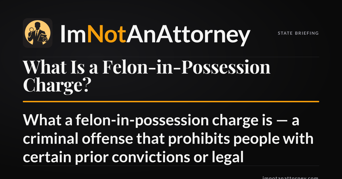 What Is a Felon-in-Possession Charge? | ImNotAnAttorney